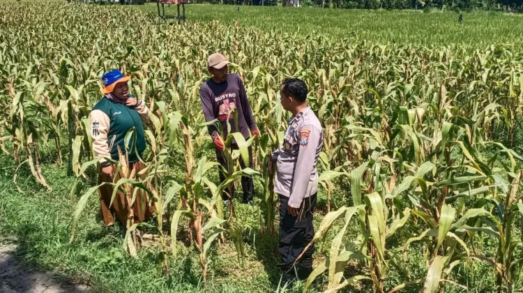 Polsek Dasuk Dukung Produktivitas Petani