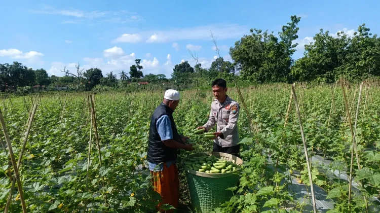 Polsek Dasuk Kawal Ketahanan Pangan Desa