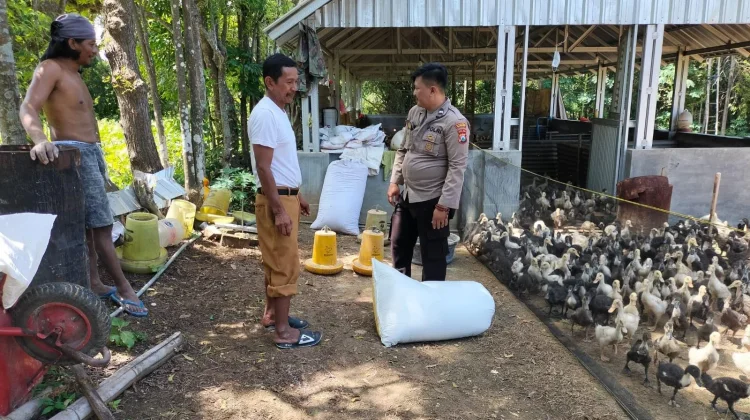 Polisi Monitoring Peternakan Bebek di Bluto