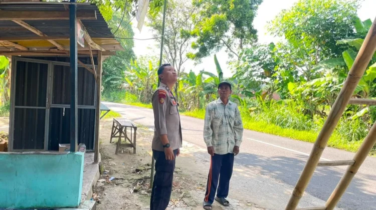 Anggota Polsek Batuputih Pantau Tanaman Mangga Warga