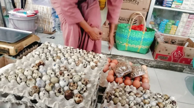 Peningkatan Harga Telur Puyuh Bebani Pedagang Bakso