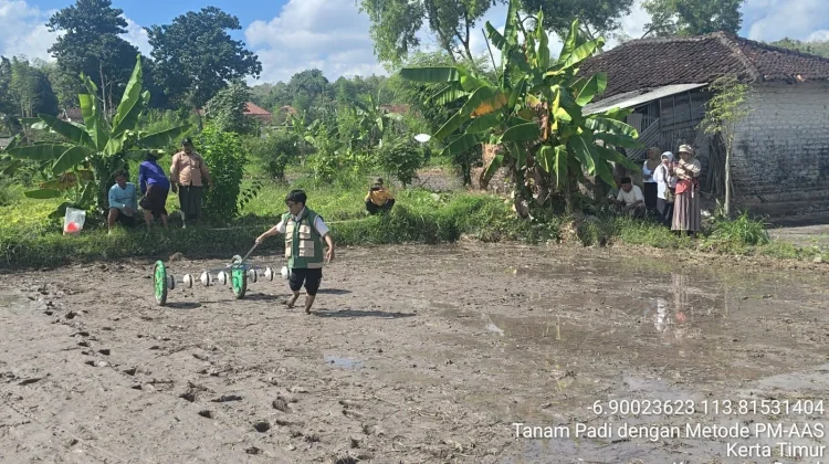 Tanam Perdana PMAAS di Dasuk