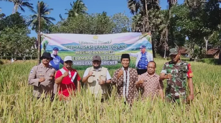 Petani Desa Tengedan Panen di Lahan Oplah