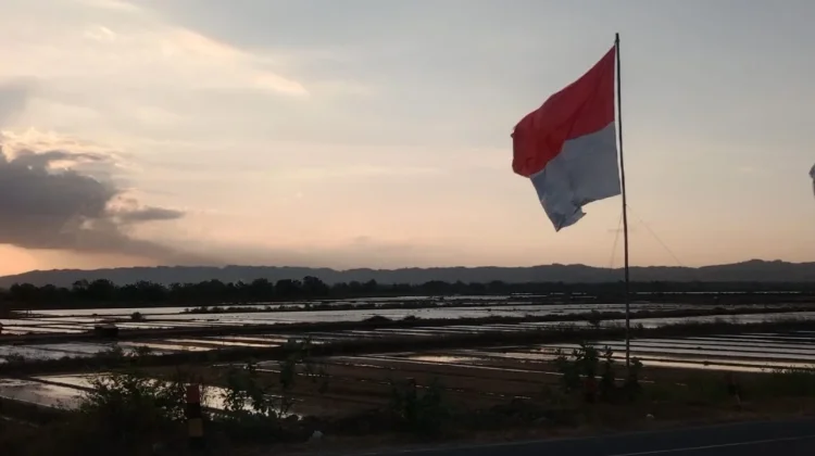 Aturan Pemasangan Bendera Merah Putih di Rumah Saat HUT RI, Ini Ketentuannya!