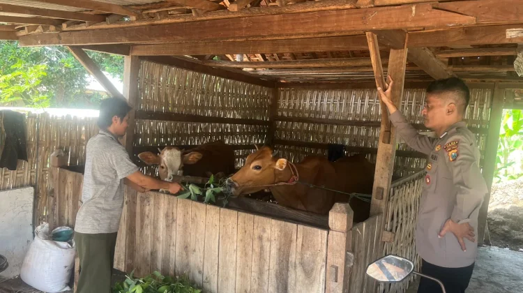 Anggota Polsek Batuputih Dampingi Peternak Wujudkan Swasembada Pangan