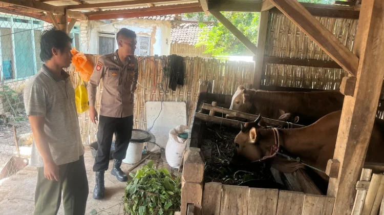 Anggota Polsek Batuputih Dampingi Peternak Wujudkan Swasembada Pangan