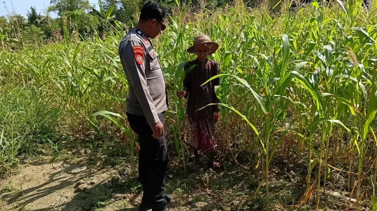 Polsek Batuputih Dukung Ketahanan Pangan