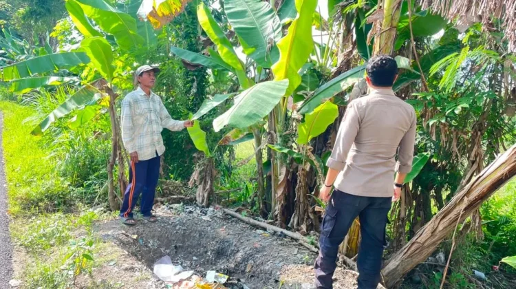 Polsek Batuputih Pantau Tanaman Pisang Warga