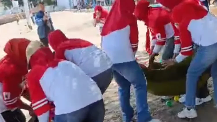 Serunya Kura-Kura Berburu Bola di Pantai Matahari