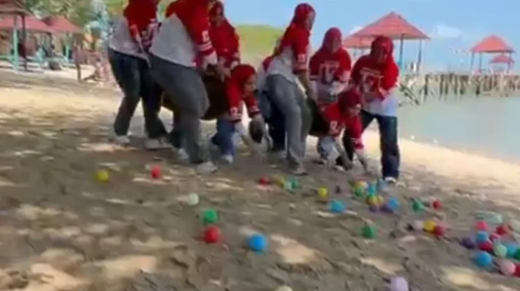 Serunya Kura-Kura Berburu Bola di Pantai Matahari