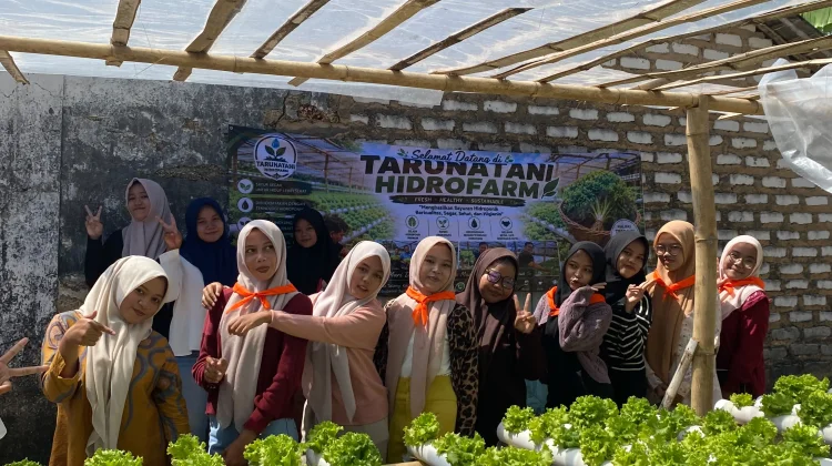 Belajar Hidroponik, Siswa Petik Selada Segar di Kebun Tarunatani