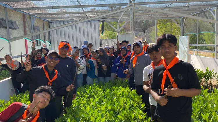 Siswa Tanam 100 Mangrove, Jaga Pesisir Saronggi