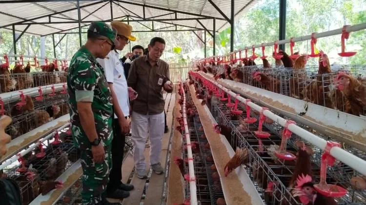 Resmikan Desa Berdaya di Pragaan Laok, DPMD Jatim Tinjau Peternakan 1.000 Ayam