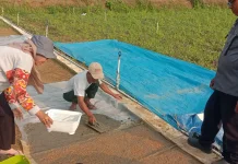 Brigade Pangan Ataneh Atane' Melakukan Penyemaian Padi dengan Metode Dapok