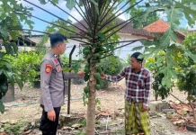 Polisi Dampingi Program Pekarangan Pangan Bergizi
