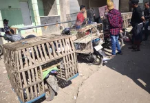 Pasar Hewan Lenteng Ramai Setiap Minggu Pagi