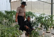 Ketahanan Pangan Jadi Fokus Polsek Batuputih