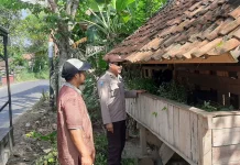 Polsek Batuputih Dukung Ketahanan Pangan lewat Peternakan