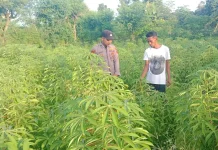 Polri Ajak Warga Optimalkan Pekarangan Produktif