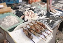 Cuaca Dingin Picu Kelangkaan Ikan Tongkol Bakar di Pasar Jangara Sumenep