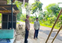 Anggota Polsek Batuputih Pantau Tanaman Mangga Warga