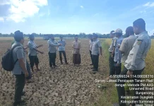 Dungkek Siapkan Demfarm PMAAS