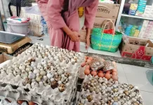 Peningkatan Harga Telur Puyuh Bebani Pedagang Bakso