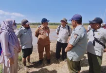 Sumenep Deklarasikan Pertanian Modern PMAAS