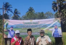 Petani Desa Tengedan Panen di Lahan Oplah