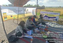 Demplot Padi Hibrida Dongkrak Produktivitas Petani
