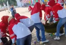 Serunya Kura-Kura Berburu Bola di Pantai Matahari