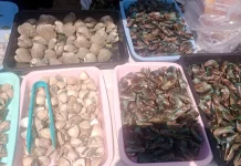 Menggoda Selera, Seafood Segar Kian Diminati Masyarakat