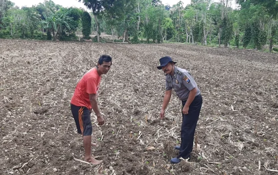 Polsek Batuputih Sumenep Dukung Program Pekarangan Bergizi