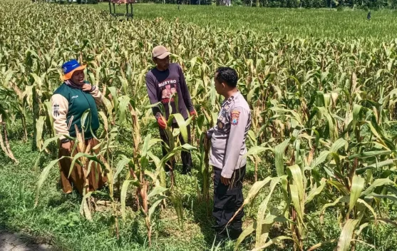 Polsek Dasuk Dukung Produktivitas Petani