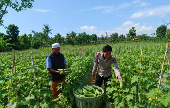 Polsek Dasuk Kawal Ketahanan Pangan Desa