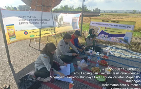 Berita Foto - Demplot Padi Hibrida Dongkrak Produktivitas Petani - RRI ...