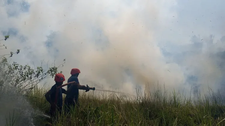 Damkar Bangka Berjibaku Tangani Peningkatan Kejadian Kebakaran Musim Kemarau