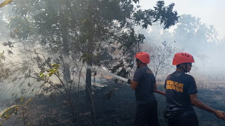 Damkar Bangka Berjibaku Tangani Peningkatan Kejadian Kebakaran Musim Kemarau