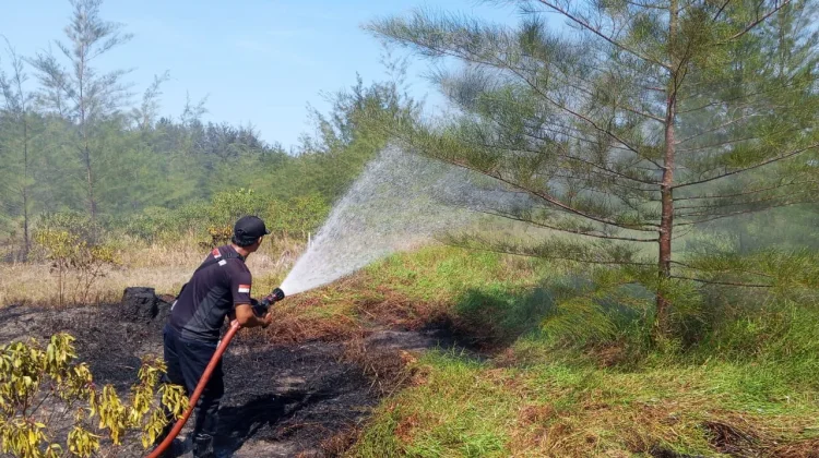 Damkar Bangka Berjibaku Tangani Peningkatan Kejadian Kebakaran Musim Kemarau