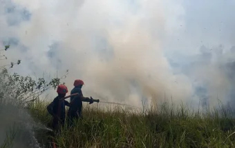 Damkar Bangka Berjibaku Tangani Peningkatan Kejadian Kebakaran Musim Kemarau