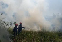 Damkar Bangka Berjibaku Tangani Peningkatan Kejadian Kebakaran Musim Kemarau