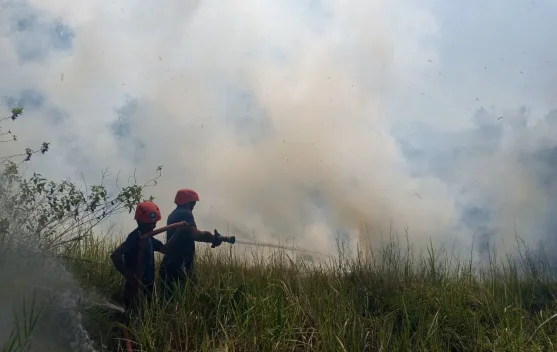 Damkar Bangka Berjibaku Tangani Peningkatan Kejadian Kebakaran Musim Kemarau