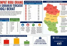 Empat Ribu Lebih Warga Sidoarjo Tercatat Alami Gangguan Jiwa Berat