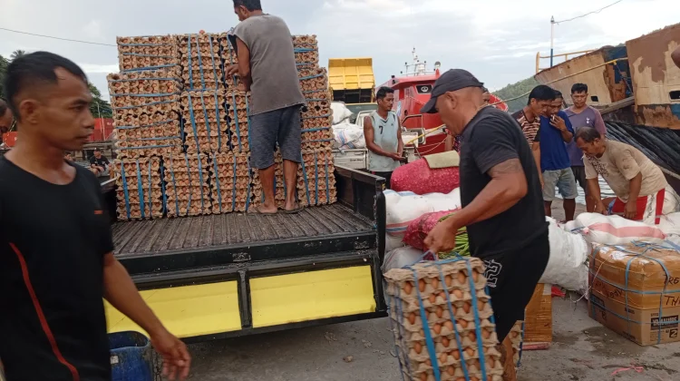 Pasokan Telur Ayam Dari Luar Daerah untuk Lebaran