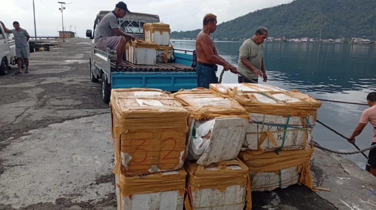Puluhan Coolbox Daging Ayam Tiba di Pelabuhan Tahuna