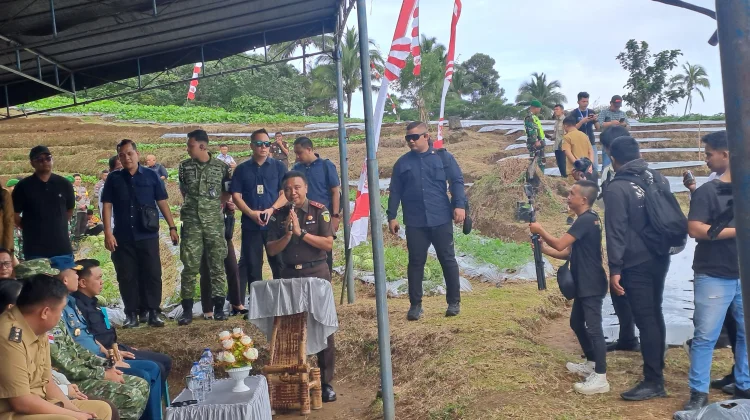 Kejati Sulut Tanam Cabai di Lenganeng, Komitmen Jaga Ketahanan Pangan Daerah