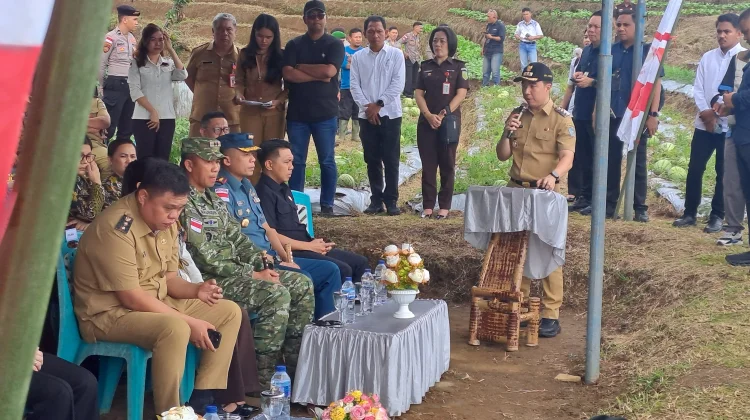 Kejati Sulut Tanam Cabai di Lenganeng, Komitmen Jaga Ketahanan Pangan Daerah