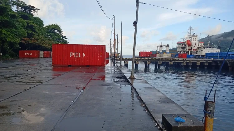 Balok Kelapa, Arang Tempurung Angkutan Balik Tol Laut