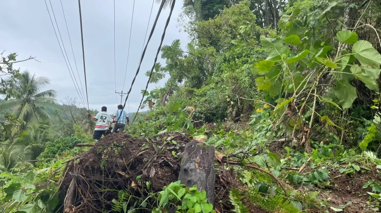 Longsor Terjang Kampung Lesabe I Manalu, Akses Warga Terganggu