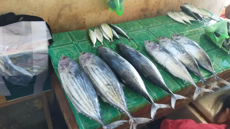 Harga Ikan di Pasar Towo’e Tahuna Naik akibat Cuaca Buruk